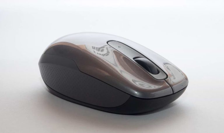 gray mouse